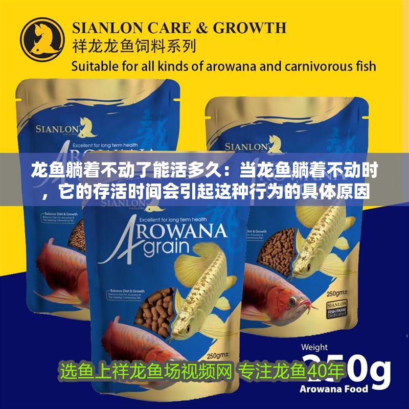 龍魚躺著不動了能活多久：當龍魚躺著不動時，它的存活時間會引起這種行為的具體原因