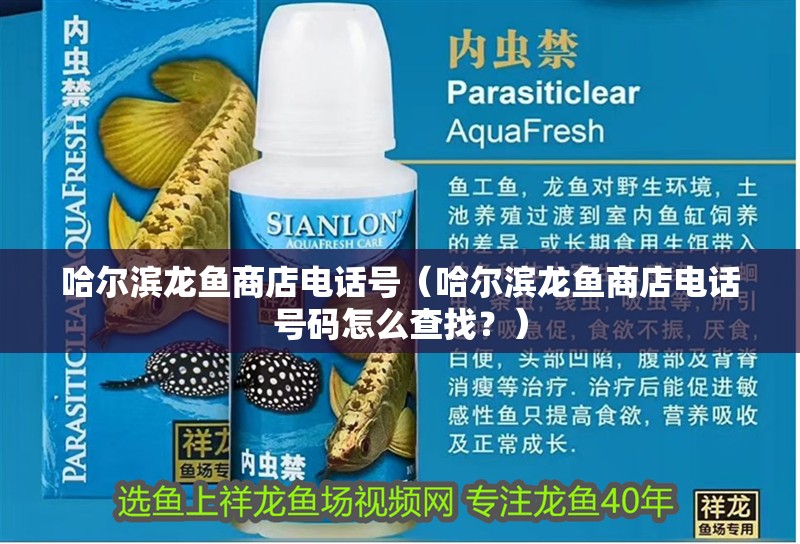 哈爾濱龍魚商店電話號（哈爾濱龍魚商店電話號碼怎么查找？）