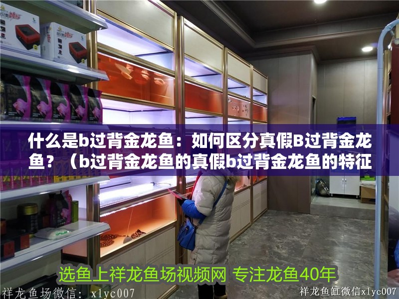 什么是b過背金龍魚：如何區分真假B過背金龍魚？（b過背金龍魚的真假b過背金龍魚的特征和真假b過背金龍魚）
