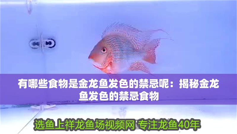 有哪些食物是金龍魚發色的禁忌呢：揭秘金龍魚發色的禁忌食物