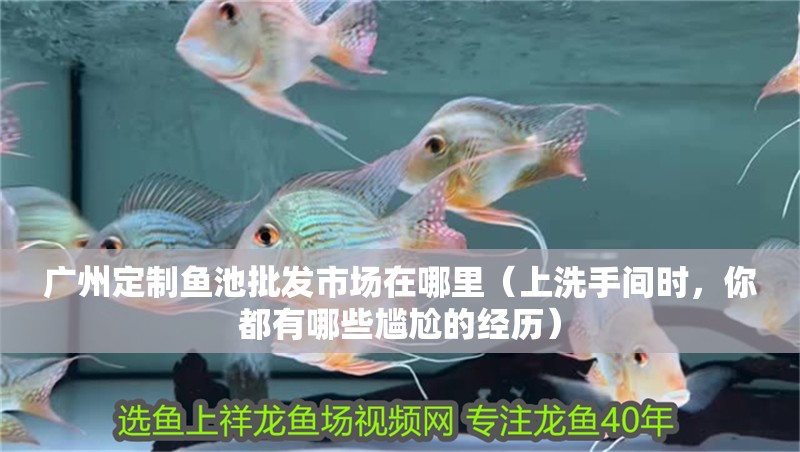 廣州定制魚池批發市場在哪里（上洗手間時，你都有哪些尷尬的經歷）