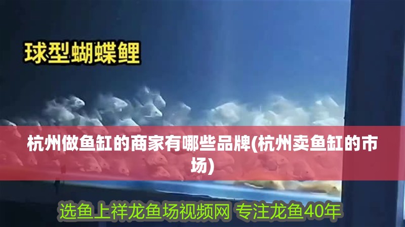 杭州做魚缸的商家有哪些品牌(杭州賣魚缸的市場)