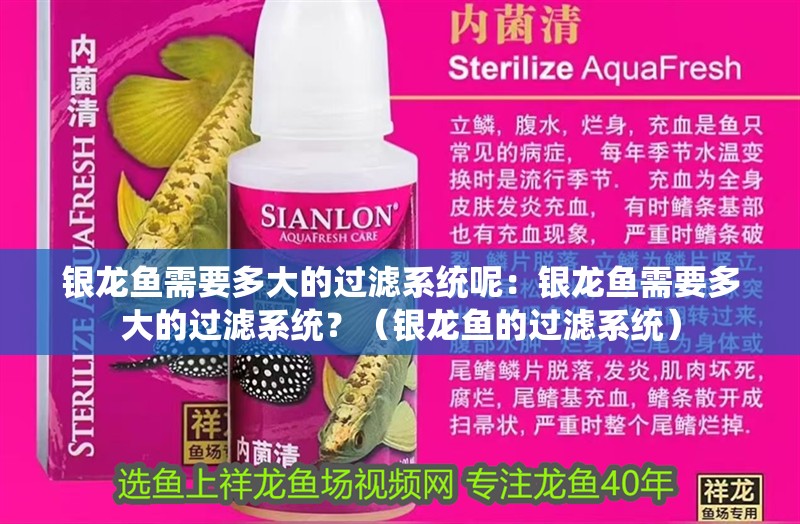 銀龍魚需要多大的過濾系統呢：銀龍魚需要多大的過濾系統？（銀龍魚的過濾系統）