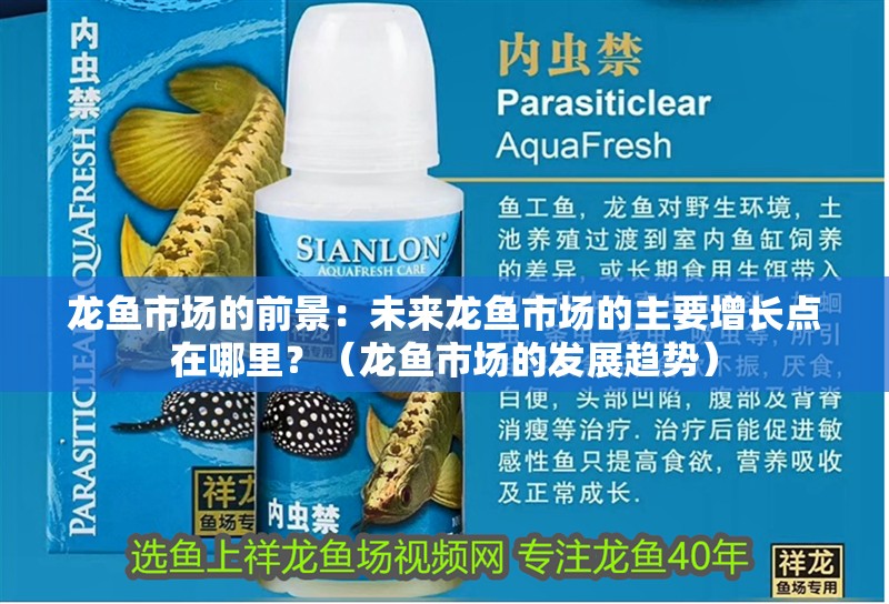 龍魚市場的前景：未來龍魚市場的主要增長點在哪里？（龍魚市場的發展趨勢）