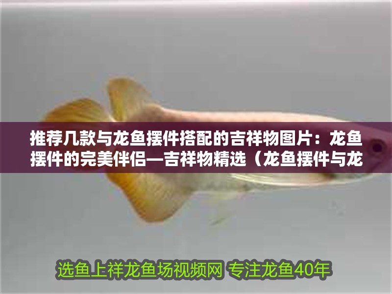 推薦幾款與龍魚擺件搭配的吉祥物圖片：龍魚擺件的完美伴侶—吉祥物精選（龍魚擺件與龍魚擺件搭配的吉祥物搭配在一起）