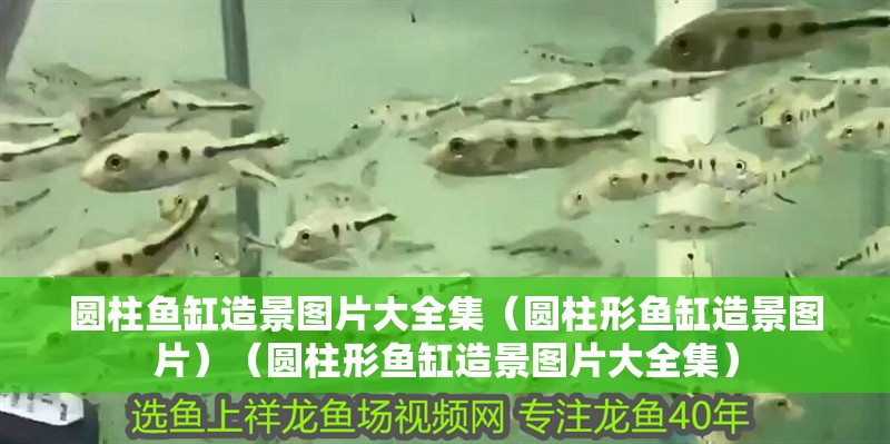 圓柱魚缸造景圖片大全集（圓柱形魚缸造景圖片）（圓柱形魚缸造景圖片大全集） 圓柱魚缸造景圖片大全集（圓柱形魚缸造景圖片）（圓柱形魚缸造景圖片大全集） 觀賞魚百科