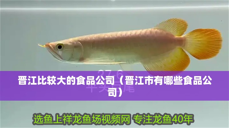 鸚鵡魚和銀龍魚混養怎樣喂食 晉江比較大的食品公司(晉江市有哪些食品公司) 觀賞魚百科 晉江比較大的食品公司(晉江市有哪些食品公司) 晉江比較大的食品公司(晉江市有哪些食品公司) 觀賞魚百科