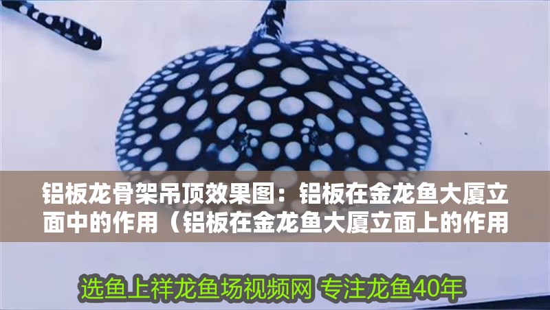 鋁板龍骨架吊頂效果圖：鋁板在金龍魚大廈立面中的作用（鋁板在金龍魚大廈立面上的作用）