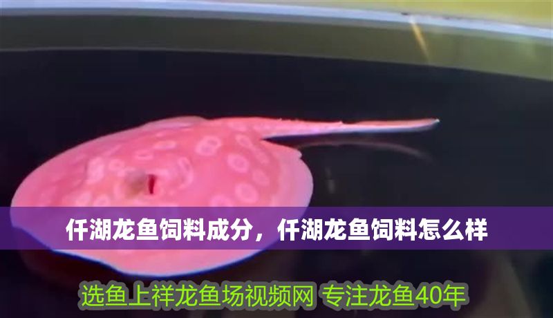 仟湖龍魚(yú)飼料成分，仟湖龍魚(yú)飼料怎么樣