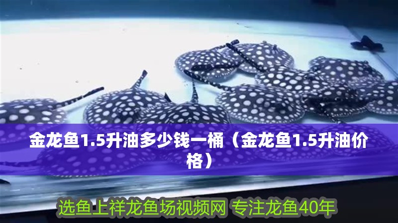 金龍魚1.5升油多少錢一桶（金龍魚1.5升油價格）