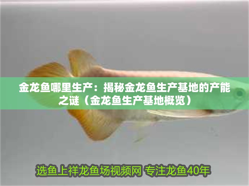 金龍魚哪里生產：揭秘金龍魚生產基地的產能之謎（金龍魚生產基地概覽）