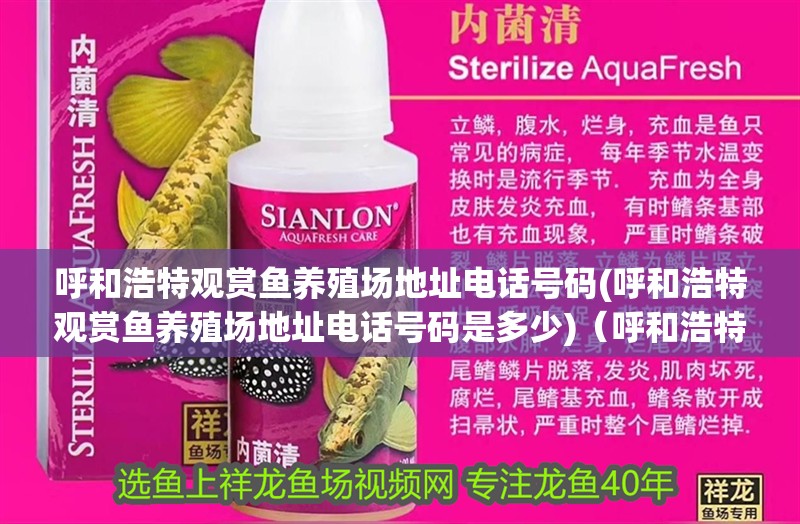 呼和浩特觀賞魚養殖場地址電話號碼(呼和浩特觀賞魚養殖場地址電話號碼是多少)（呼和浩特有哪些觀賞魚養殖場？） 呼和浩特觀賞魚養殖場地址電話號碼(呼和浩特觀賞魚養殖場地址電話號碼是多少)（呼和浩特有哪些觀賞魚養殖場？） 觀賞魚百科