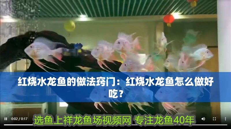 紅燒水龍魚的做法竅門：紅燒水龍魚怎么做好吃？