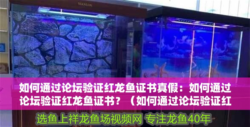 如何通過論壇驗證紅龍魚證書真假：如何通過論壇驗證紅龍魚證書？（如何通過論壇驗證紅龍魚證書）