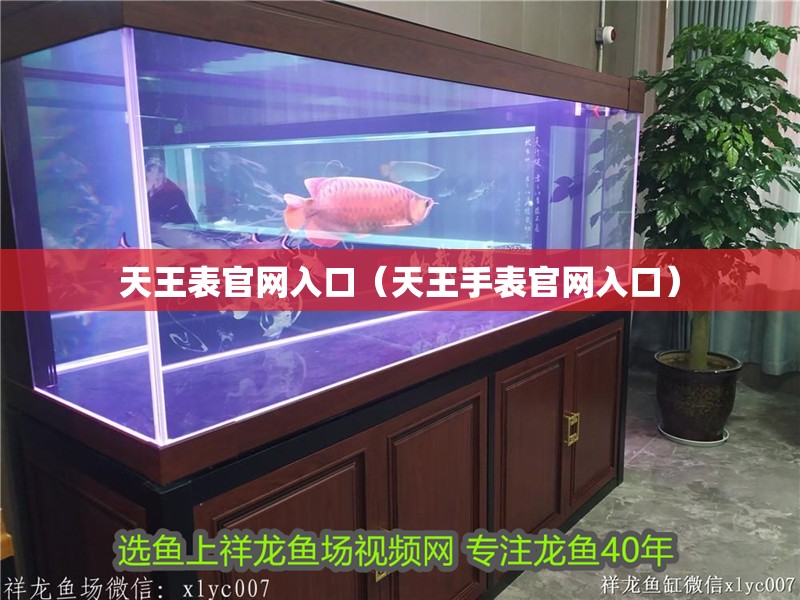 天王表官網入口（天王手表官網入口）