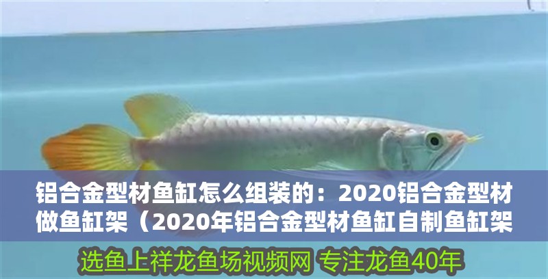 鋁合金型材魚缸怎么組裝的：2020鋁合金型材做魚缸架（2020年鋁合金型材魚缸自制魚缸架自制魚缸架自制方法）