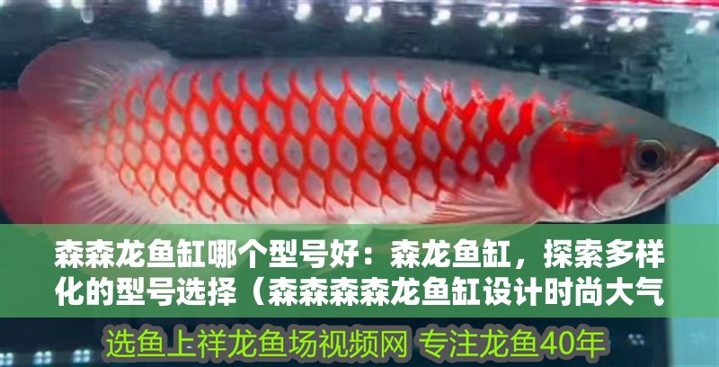 森森龍魚缸哪個(gè)型號(hào)好：森龍魚缸，探索多樣化的型號(hào)選擇（森森森森龍魚缸設(shè)計(jì)時(shí)尚大氣適合擺放在臥室或陽臺(tái)等地方）
