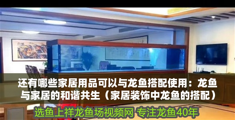 還有哪些家居用品可以與龍魚搭配使用：龍魚與家居的和諧共生（家居裝飾中龍魚的搭配）