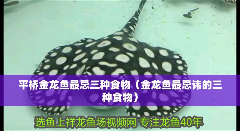 平橋金龍魚最忌三種食物（金龍魚最忌諱的三種食物） 平橋金龍魚最忌三種食物（金龍魚最忌諱的三種食物） 觀賞魚百科