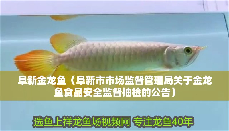 阜新金龍魚（阜<strong><mark>新市</mark></strong>市場監(jiān)督管理局關(guān)于金龍魚食品安全監(jiān)督抽檢的公告）