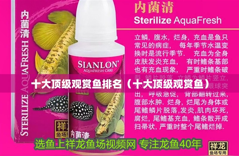 十大頂級觀賞魚排名（十大頂級觀賞魚） 十大頂級觀賞魚排名（十大頂級觀賞魚） 觀賞魚百科