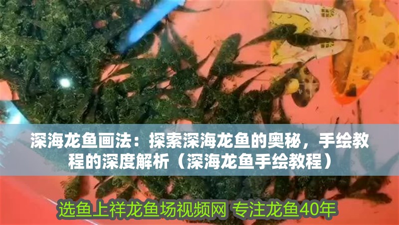 深海龍魚畫法：探索深海龍魚的奧秘，手繪教程的深度解析（深海龍魚手繪教程）