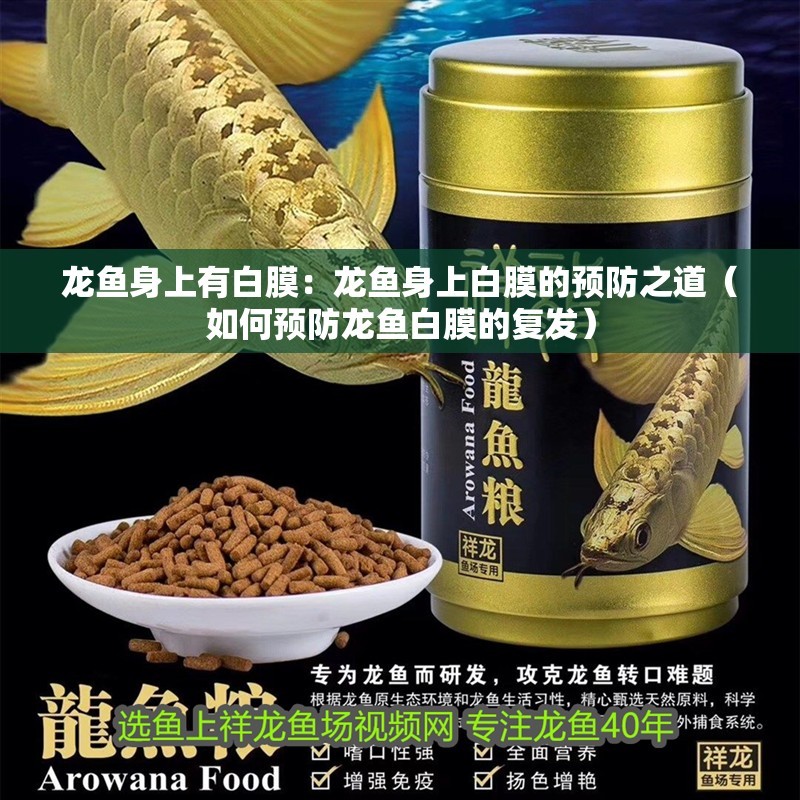 龍魚身上有白膜：龍魚身上白膜的預防之道（如何預防龍魚白膜的復發）