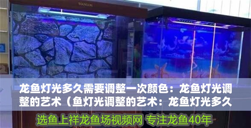 龍魚燈光多久需要調整一次顏色：龍魚燈光調整的藝術（魚燈光調整的藝術：龍魚燈光多久需要調整一次顏色延長）