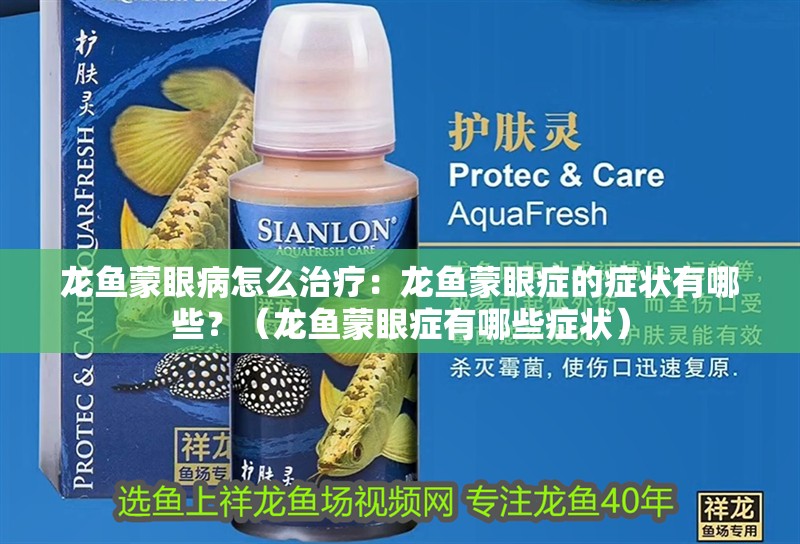 龍魚蒙眼病怎么治療：龍魚蒙眼癥的癥狀有哪些？（龍魚蒙眼癥有哪些癥狀）