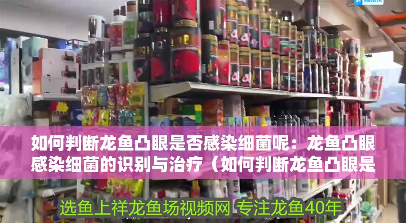如何判斷龍魚凸眼是否感染細菌呢：龍魚凸眼感染細菌的識別與治療（如何判斷龍魚凸眼是否感染細菌） 如何判斷龍魚凸眼是否感染細菌呢：龍魚凸眼感染細菌的識別與治療（如何判斷龍魚凸眼是否感染細菌） 水族問答