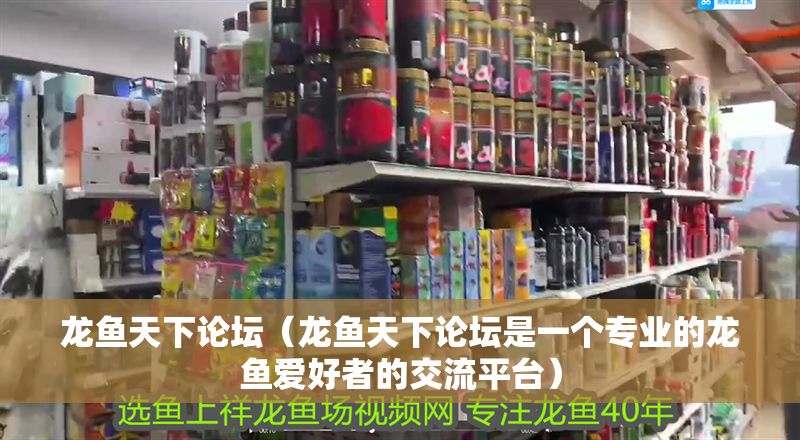 龍魚天下論壇（龍魚天下論壇是一個專業的龍魚愛好者的交流平臺）