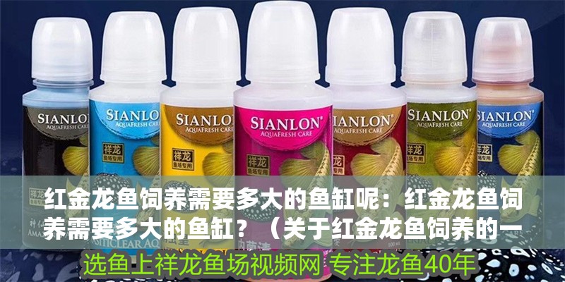 龍魚干蝦有營(yíng)養(yǎng)嗎 紅金龍魚飼養(yǎng)需要多大的魚缸呢:紅金龍魚飼養(yǎng)需要多大的魚缸?(關(guān)于紅金龍魚飼養(yǎng)的一些問(wèn)題) 水族問(wèn)答 紅金龍魚飼養(yǎng)需要多大的魚缸呢:紅金龍魚飼養(yǎng)需要多大的魚缸?(關(guān)于紅金龍魚飼養(yǎng)的一些問(wèn)題) 紅金龍魚飼養(yǎng)需要多大的魚缸呢:紅金龍魚飼養(yǎng)需要多大的魚缸?(關(guān)于紅金龍魚飼養(yǎng)的一些問(wèn)題) 水族問(wèn)答