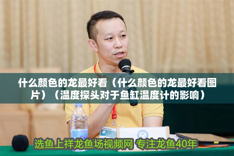 什么顏色的龍最好看（什么顏色的龍最好看圖片）（溫度探頭對于魚缸溫度計的影響）