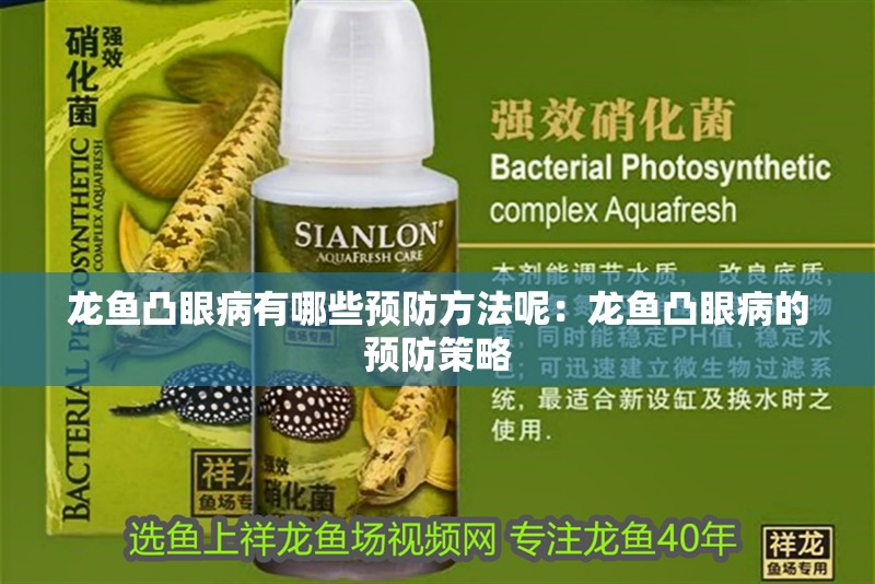 龍魚凸眼病有哪些預防方法呢：龍魚凸眼病的預防策略