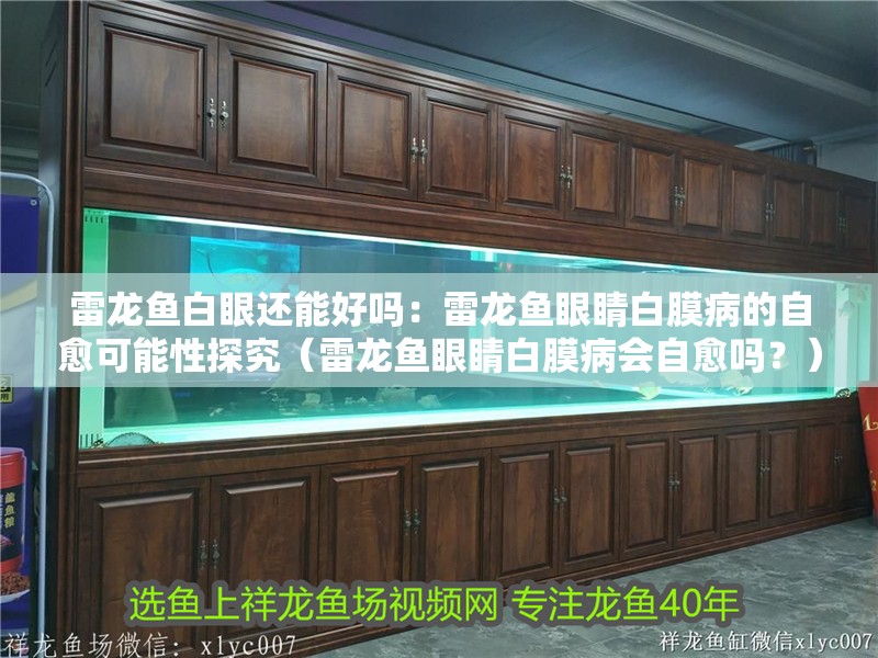 雷龍魚白眼還能好嗎：雷龍魚眼睛白膜病的自愈可能性探究（雷龍魚眼睛白膜病會自愈嗎？） 雷龍魚白眼還能好嗎：雷龍魚眼睛白膜病的自愈可能性探究（雷龍魚眼睛白膜病會自愈嗎？） 水族問答