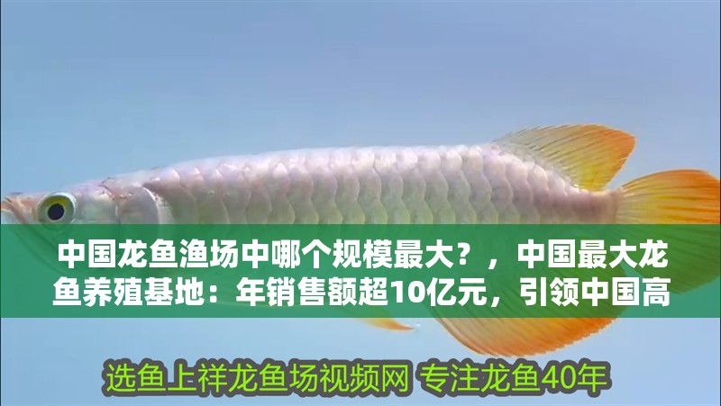 魚缸用增氧泵價格是多少:魚缸增氧機-xtrac增氧機-xtrac增氧機 中國龍魚漁場中哪個規模最大?,中國最大龍魚養殖基地:年銷售額超10億元,引領中國高端龍魚市場 龍魚百科 中國龍魚漁場中哪個規模最大?,中國最大龍魚養殖基地:年銷售額超10億元,引領中國高端龍魚市場 中國龍魚漁場中哪個規模最大?,中國最大龍魚養殖基地:年銷售額超10億元,引領中國高端龍魚市場 龍魚百科