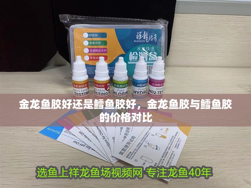 金龍魚膠好還是鱈魚膠好，金龍魚膠與鱈魚膠的價(jià)格對比