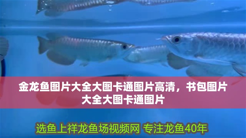 金龍魚圖片大全大圖卡通圖片高清，書包圖片大全大圖卡通圖片