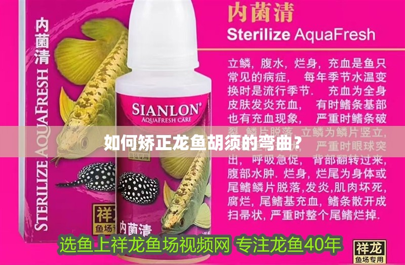 如何矯正龍魚胡須的彎曲？
