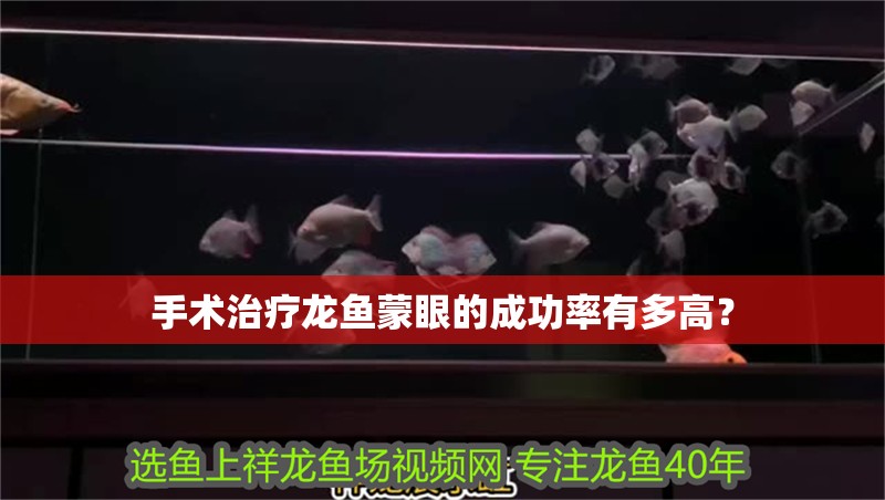 手術(shù)治療龍魚蒙眼的成功率有多高？