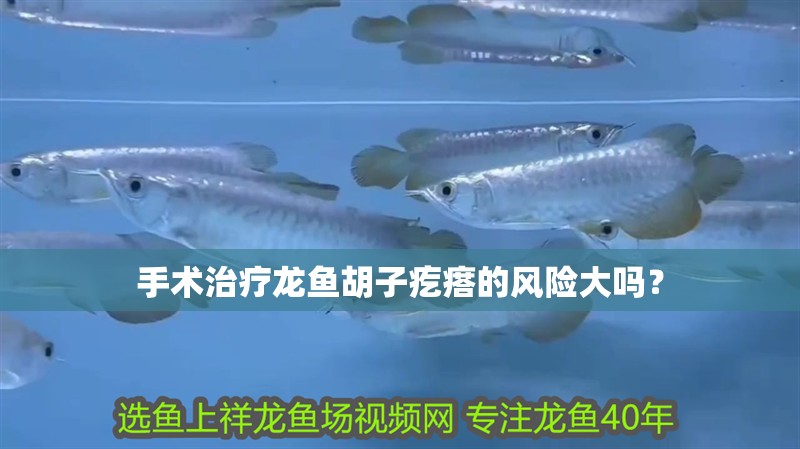 手術治療龍魚胡子疙瘩的風險大嗎？
