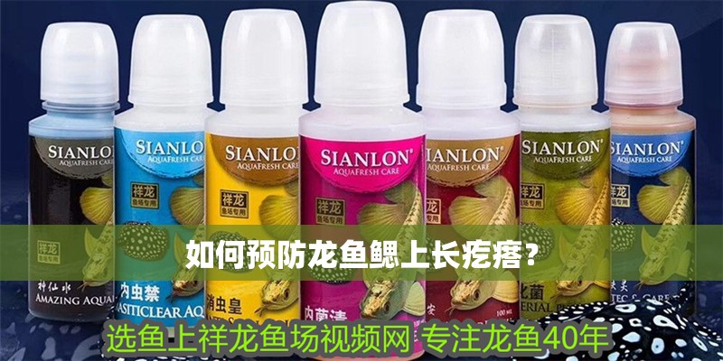 如何預防龍魚鰓上長疙瘩？