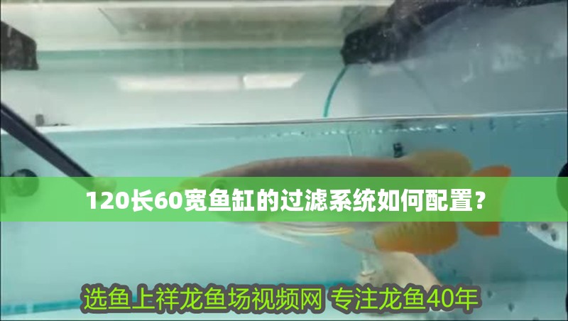 120長60寬魚缸的過濾系統如何配置？