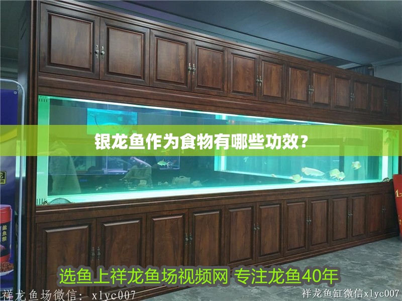 銀龍魚作為食物有哪些功效？
