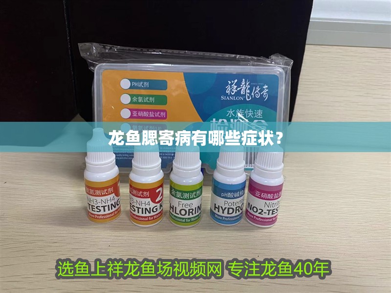 龍魚腮寄病有哪些癥狀？