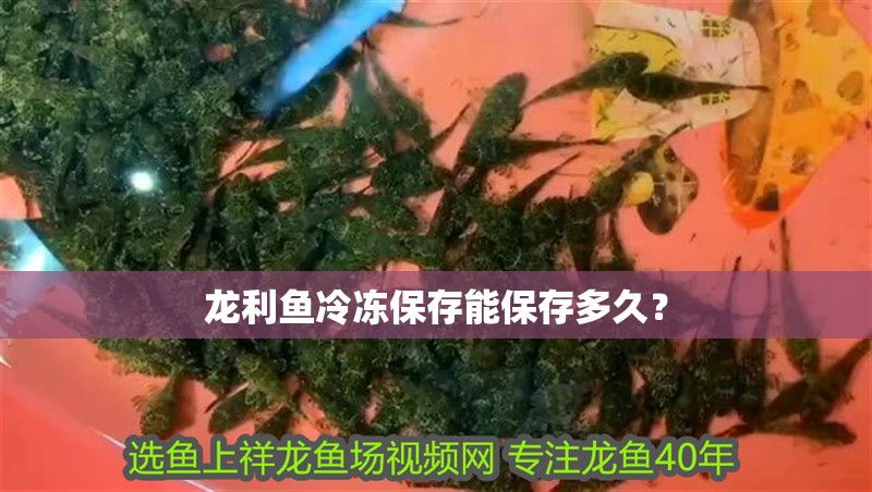 龍利魚冷凍保存能保存多久？ 龍利魚冷凍保存能保存多久？ 龍魚百科