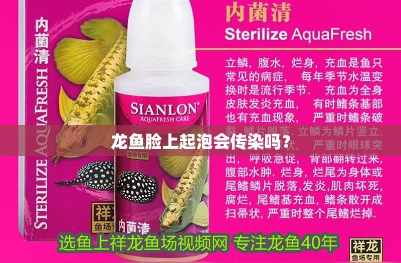 龍魚臉上起泡會(huì)傳染嗎？