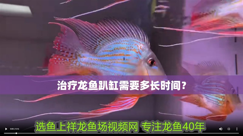 魚缸用增氧泵價格是多少:魚缸增氧機-xtrac增氧機-xtrac增氧機 治療龍魚趴缸需要多長時間? 龍魚百科 治療龍魚趴缸需要多長時間? 治療龍魚趴缸需要多長時間? 龍魚百科