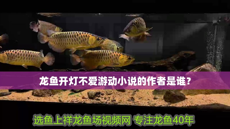 龍魚開燈不愛游動小說的作者是誰？ 龍魚開燈不愛游動小說的作者是誰？ 龍魚百科