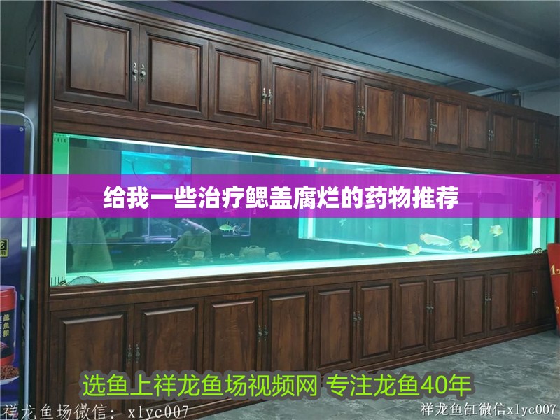 給我一些治療鰓蓋腐爛的藥物推薦